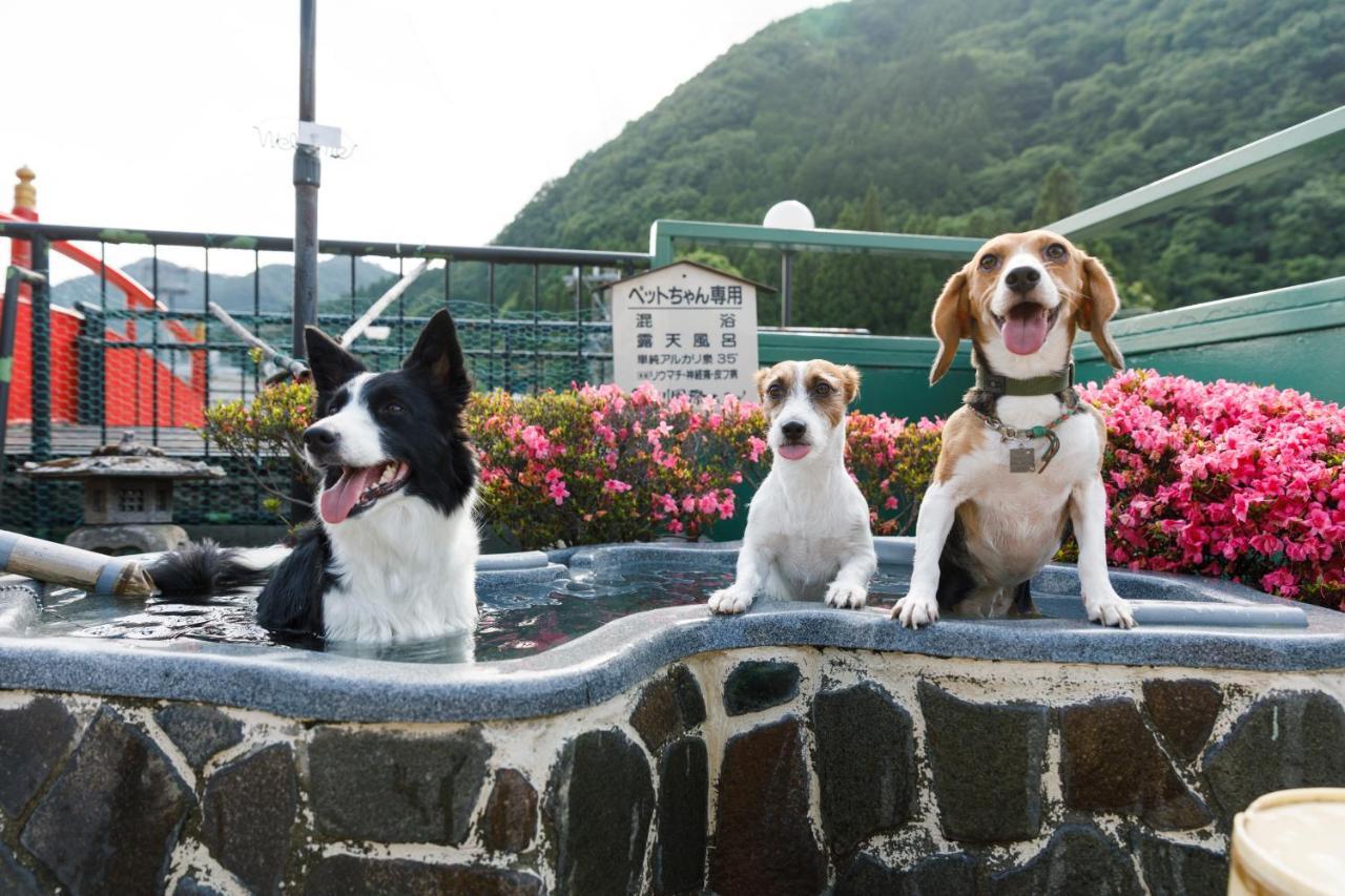 きぬ川国際ホテル 日光市 エクステリア 写真