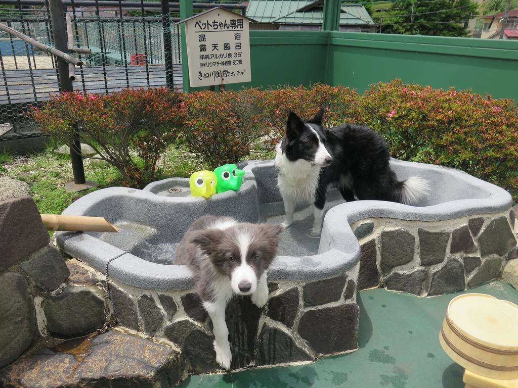 きぬ川国際ホテル 日光市 エクステリア 写真